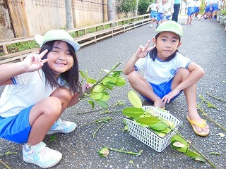 DSCN7509