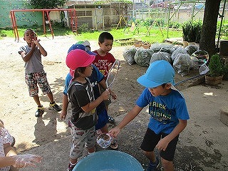 IMG_3466