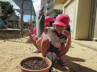 IMG_4457