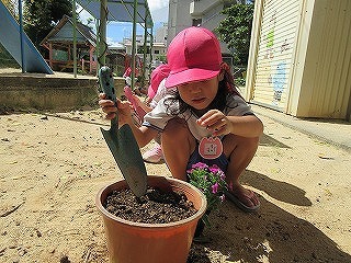 IMG_4458