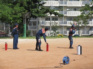 IMG_4557
