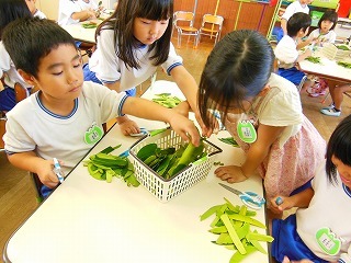 DSCN7537