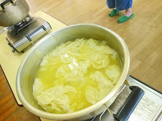 DSCN7541
