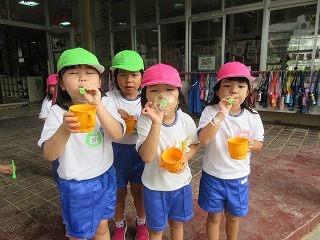 IMG_2240