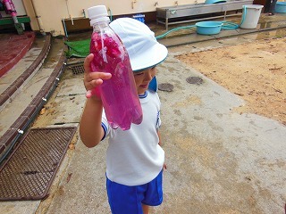 DSCN7218