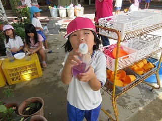 IMG_2337