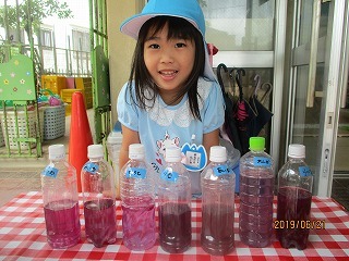 IMG_3203