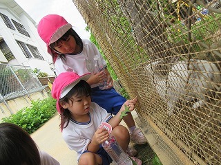 IMG_2312