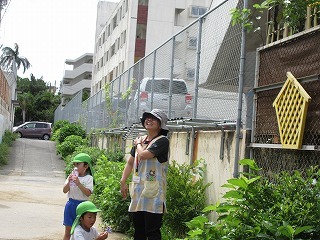 IMG_2255