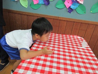 IMG_1916