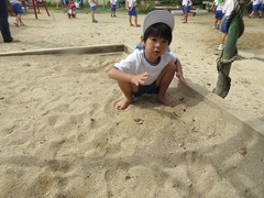 IMG_1304