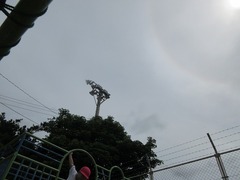 IMG_1337