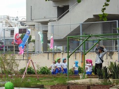 DSCN7105