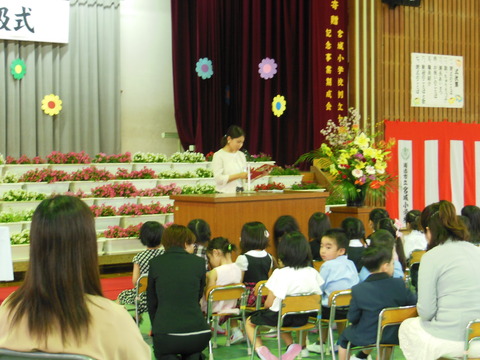 DSCN7083