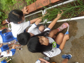 CIMG9823