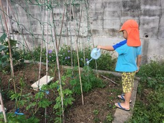 IMG_0673[1]