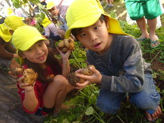 DSC01011