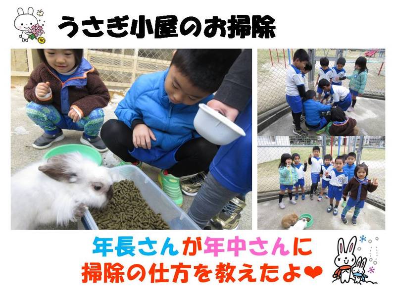 うさぎ
