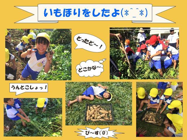 芋掘り　画像