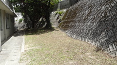 園舎横DSC03461