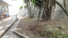 園舎横DSC03462