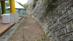 園舎裏DSC03465