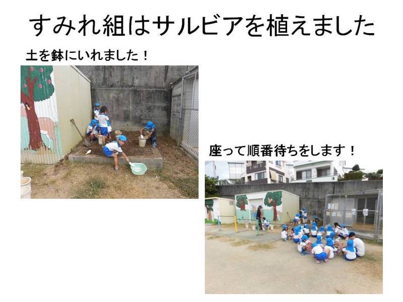 土入れ