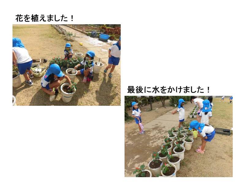 花植え