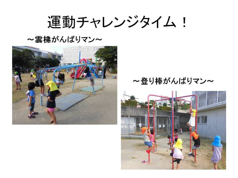 雲梯、登り棒