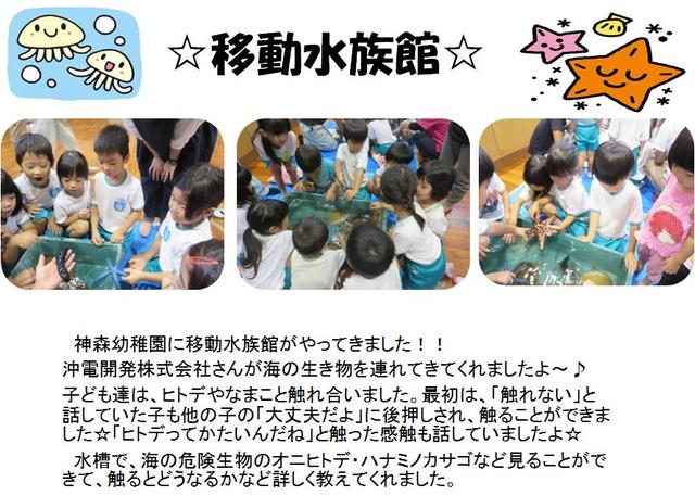 海の生き物