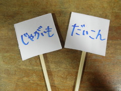 P1010089