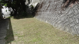 園舎横