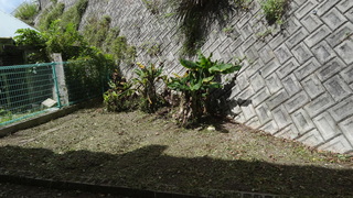 園舎裏１