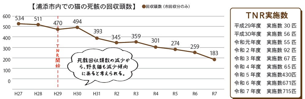 file_20268193164646_1