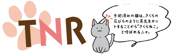 タイトル