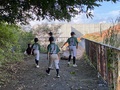 IMG_9056