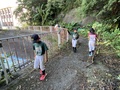 IMG_9060