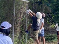 IMG_9090