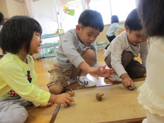 はな組