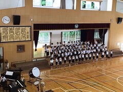 s-4年② s-4年②