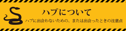 ハブについてハブに出会わないための、または出会ったときの注意点